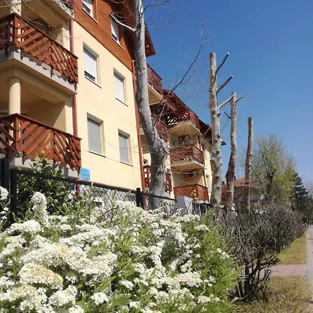 Plazs Daire Balatonlelle